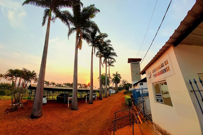 Acesso real à Associação de Tiro Ararense, com palmeiras e entrada junto à estrada rural